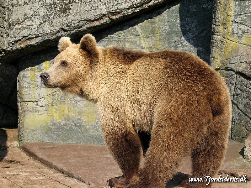 KBH zoo 190703 242.JPG